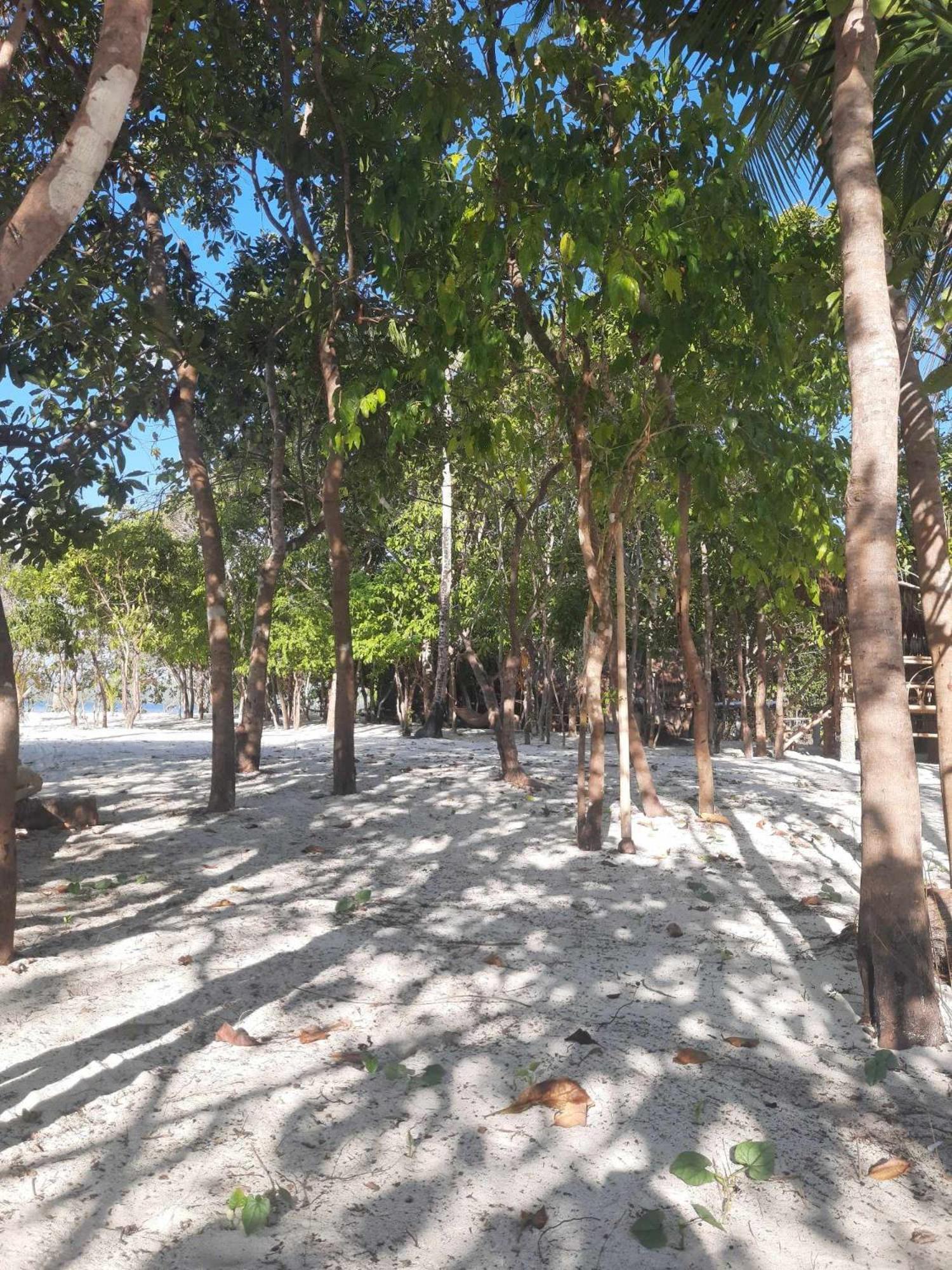 Dosplaya Ecocamp Hotell El Nido Eksteriør bilde