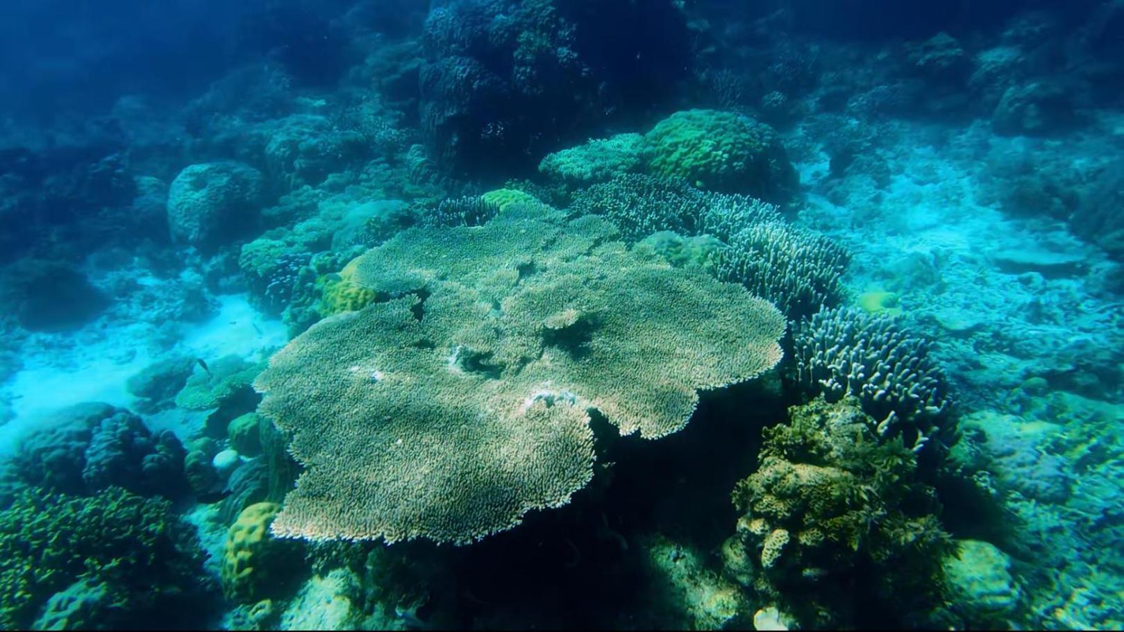 Dosplaya Ecocamp Hotell El Nido Eksteriør bilde